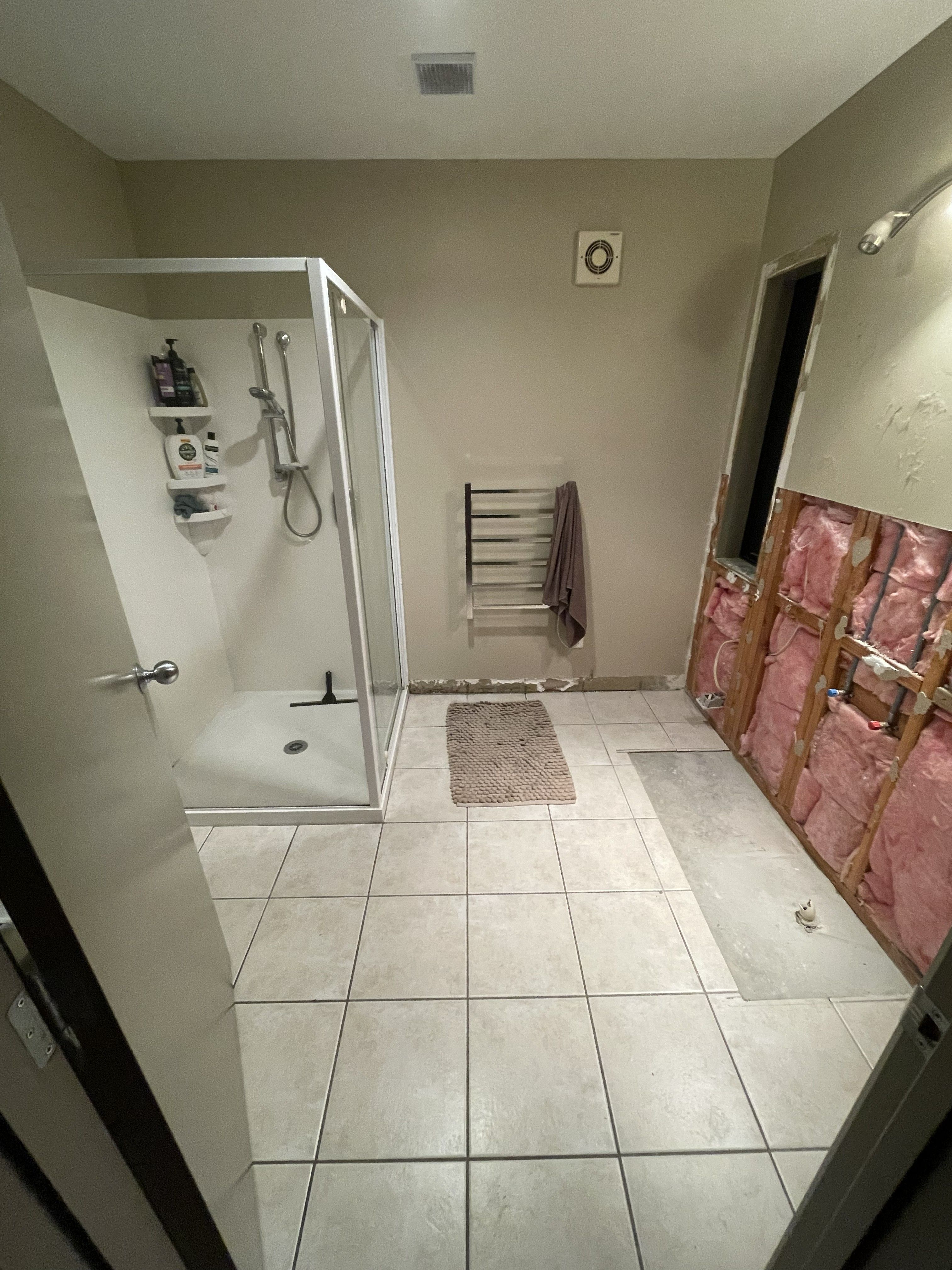 Bathroom Renovation Before